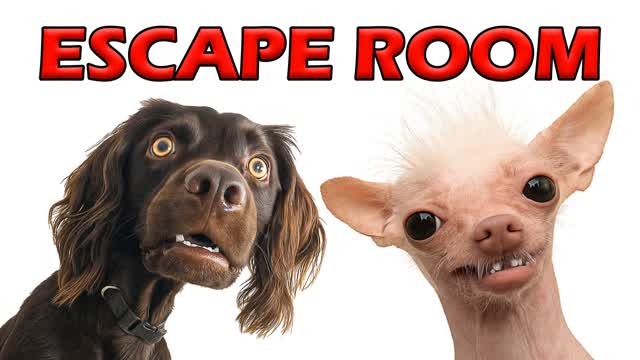 ❓ IQ TEST 🧠 SUPER DOGS ESCAPE ROOM 🔑 — Fortnite Creative map