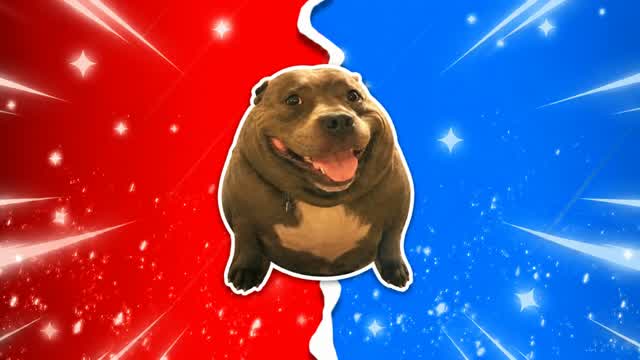 RED VS BLUE 🔴🔵DOG — Fortnite Creative map cover art