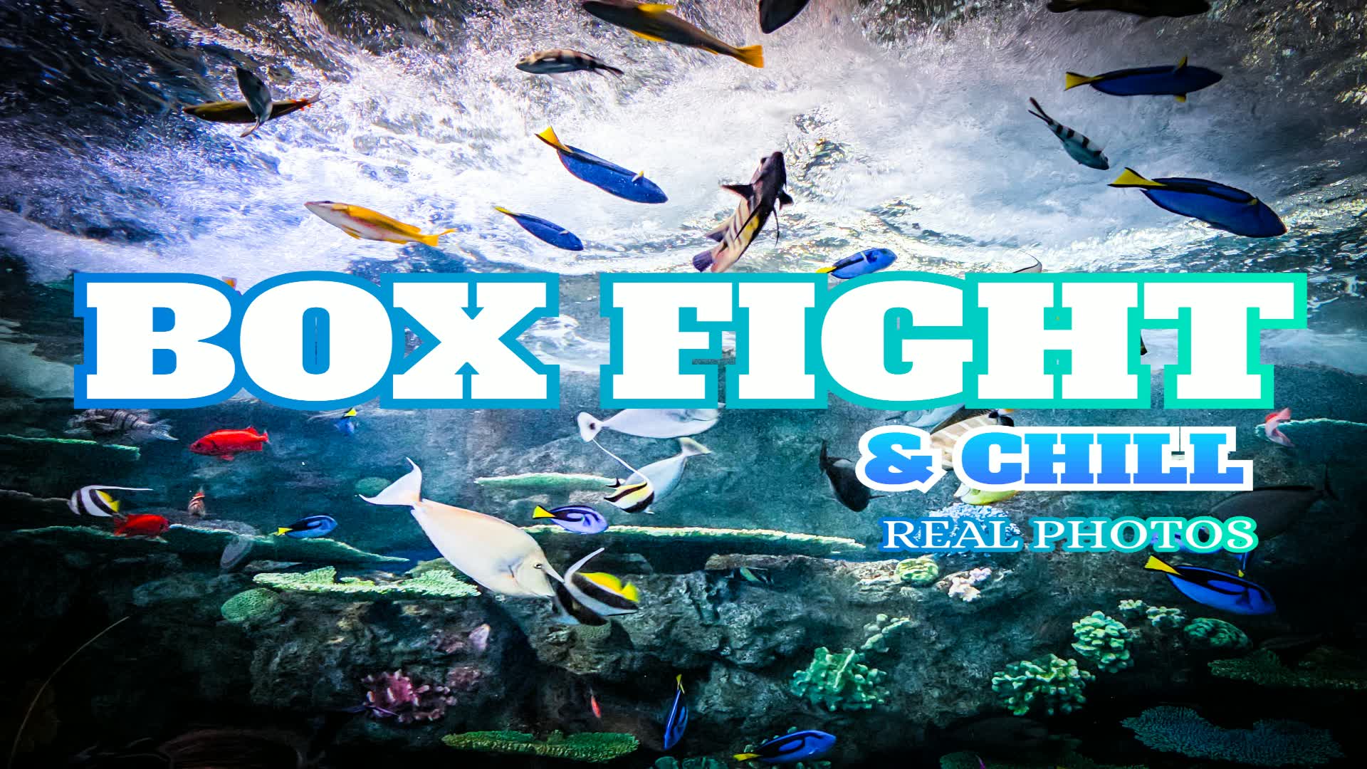 BOX FIGHT & CHILL|REAL PHOTOS — Fortnite Creative map