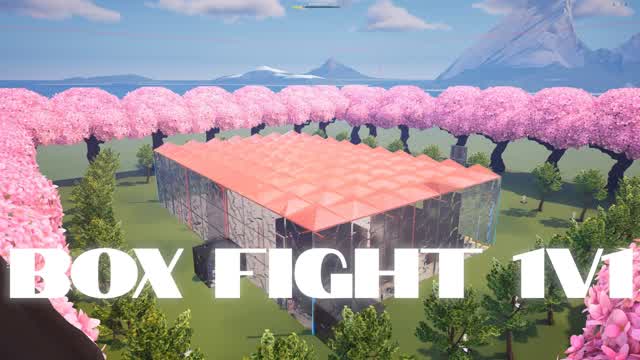 Box fight DS — Fortnite Creative map cover art