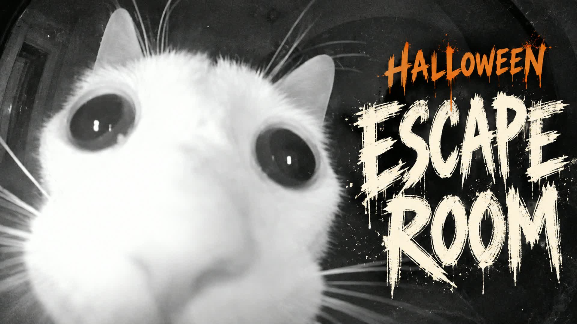 🐈‍⬛ Halloween Escape Room — Fortnite Creative map