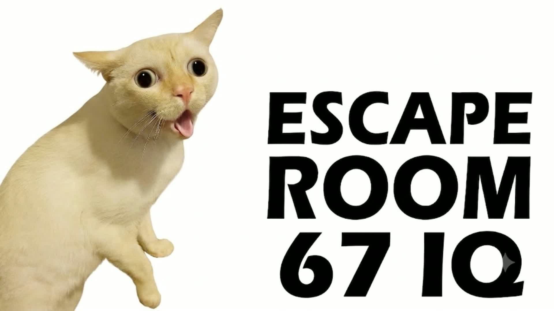 67 FUN CAT ESCAPE ROOM👑 — Fortnite Creative map