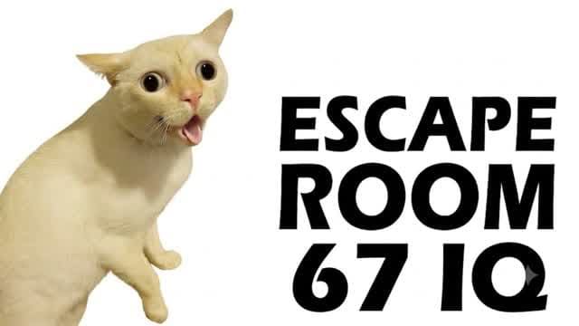 67 FUN CAT ESCAPE ROOM👑 — Fortnite Creative map