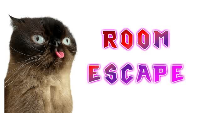 π Crazy Cat IQ Escape Room π β Fortnite Creative map