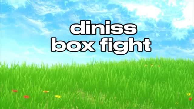 diniss box fight — Fortnite Creative map cover art