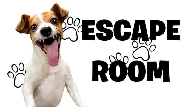 Escape Room BRAINROT — Fortnite Creative map