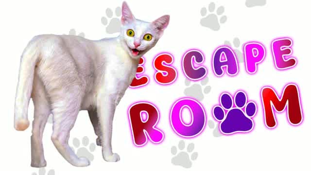 💡 Funny Cat Escape Room | by GT 💡 — Fortnite Creative map