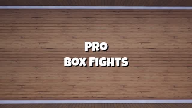 Pro Box Fights — Fortnite Creative map cover art