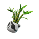 Bamboo Patch
