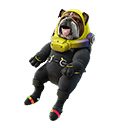 Rocket-Ready Roscoe