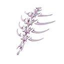Pearlescent