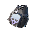 Expert's Bonebag