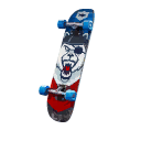 POLAR PATROLLER