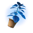 Blue Herb