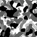 camo