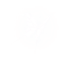 Shattered Wings