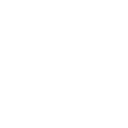 Lightning