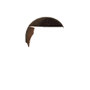 High and Tight