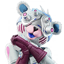 Polar Team Specialist