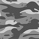 MULTICAM