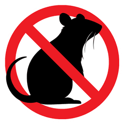 No Rats — Uncommon Emoticon Fortnite cosmetic