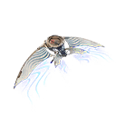Adventure Aerial
