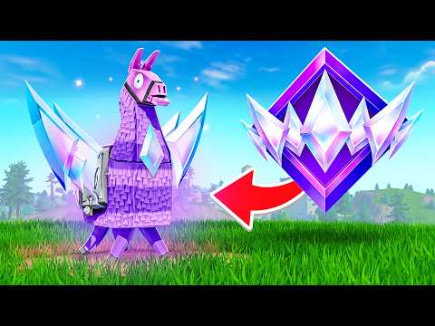 I Added RANKED LLAMAS To Fortnite!