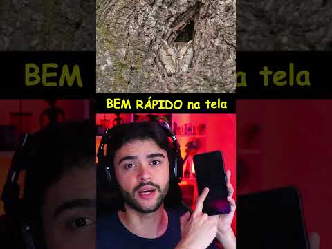 QUAL ANIMAL APARECE?