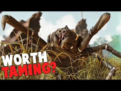 Is The Araneo Now Worth Taming?