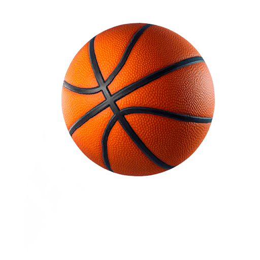 Basketball — Rare Toy Fortnite cosmetic