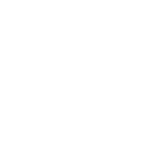 Flex On 'Em