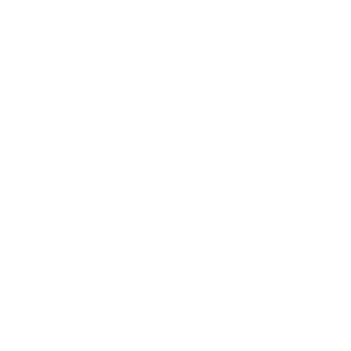 Hoop Master