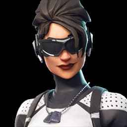 Arctic Assassin