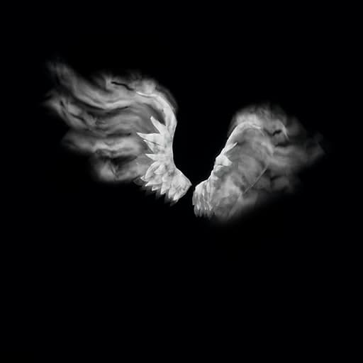 Perfect Wings
