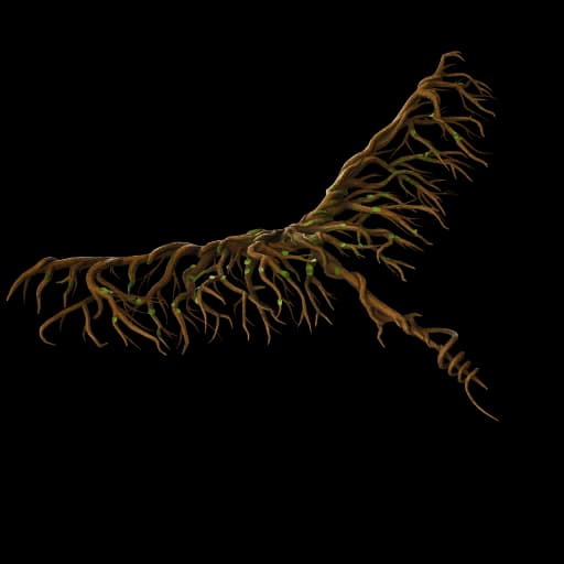 Root Wing