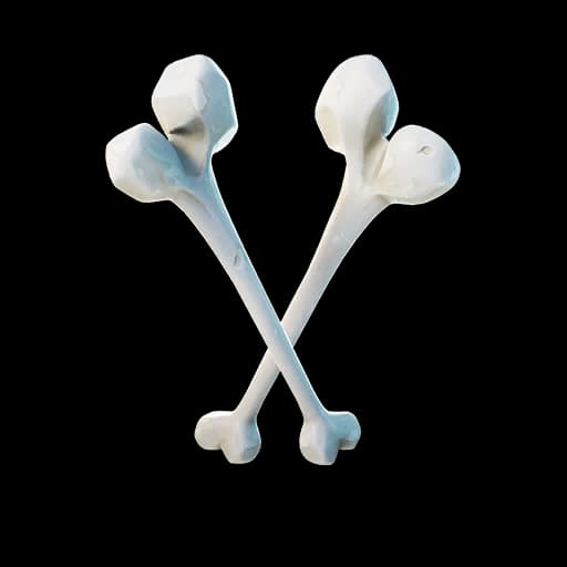 Beef Bone