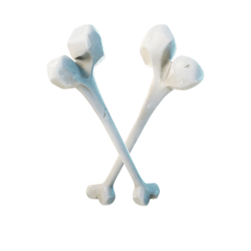 Beef Bone