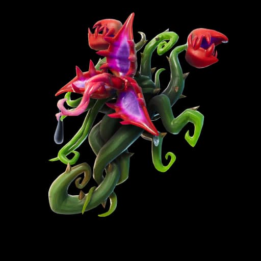 Back Bloom