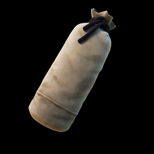 Training Bag