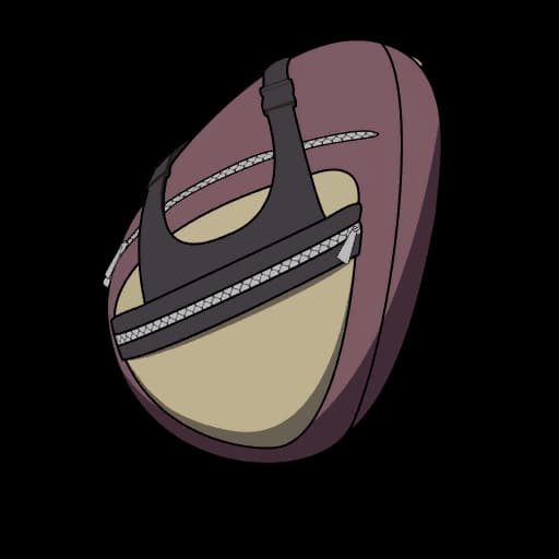 Hinata's Backpack