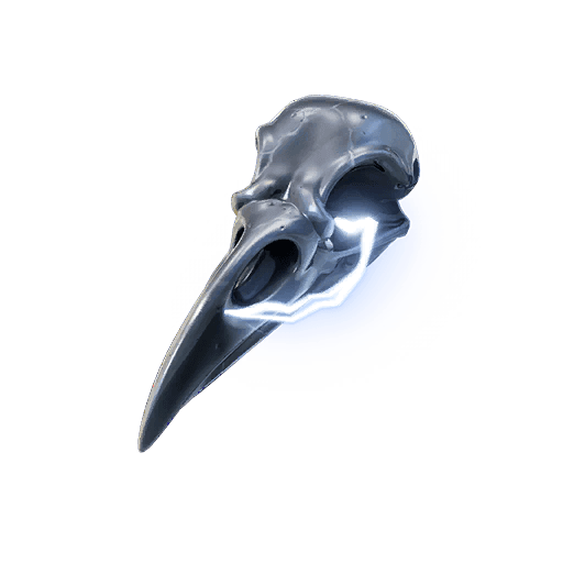 Bird Skull