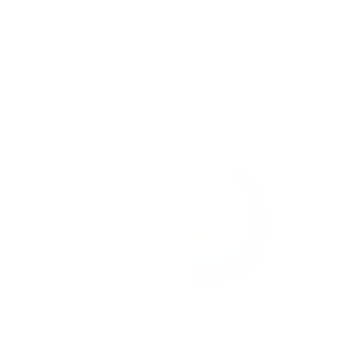 Pitcycle