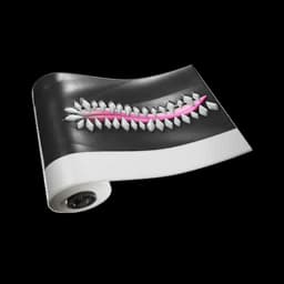 Toothy