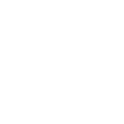 Peter Griffin Speed Bag