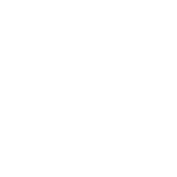 Ninja Stance: Donnie