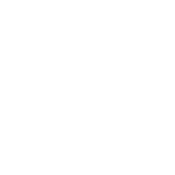 Dark Transformation
