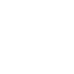 Point and Strut