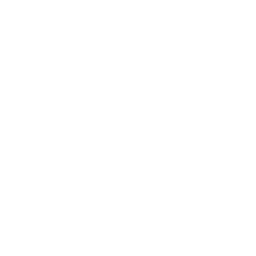 Wasteland Rock