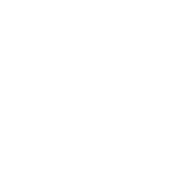 Sentinel Squats
