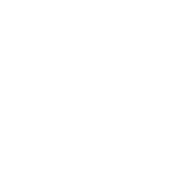Vanguard's Charge — Uncommon Emote Fortnite cosmetic